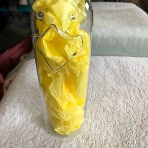 glass hand blown duck